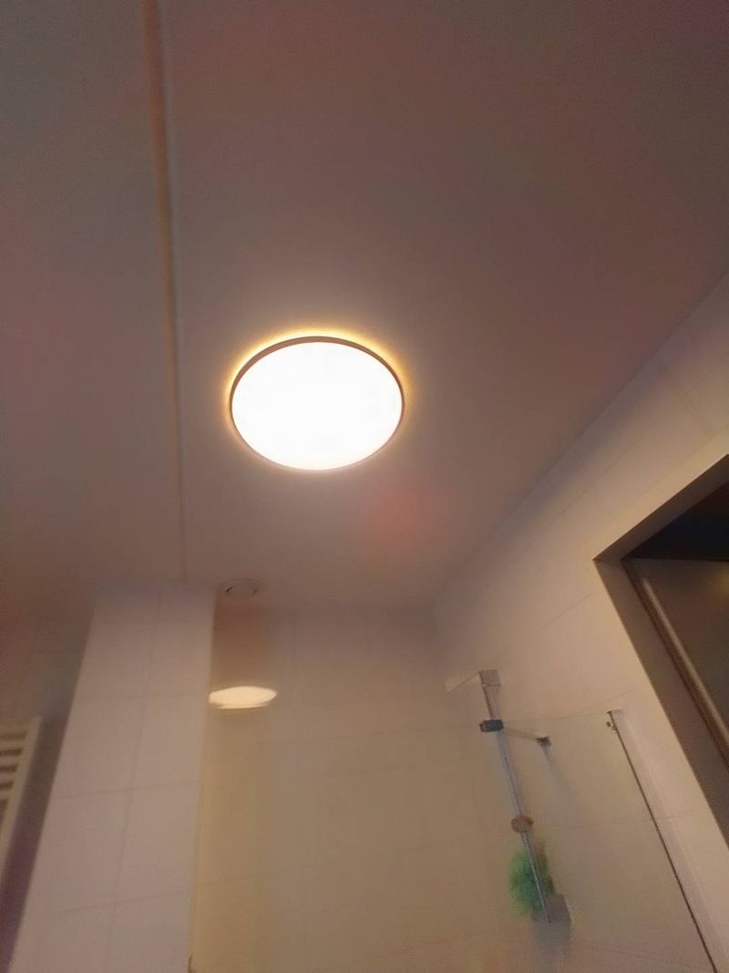 Gemonteerde ronde plafondlamp aan een badkamerplafond